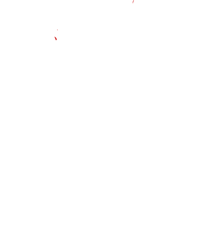 Skate Park